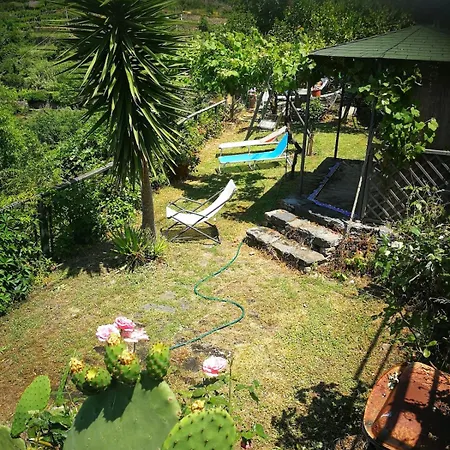 Daire Tra Collina E Mare *